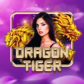 Dragon Tiger - Bingo Card