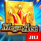 Mega Ace - Bingo Card