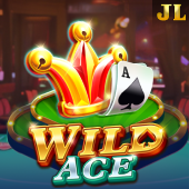 Wild Ace - Bingo Card